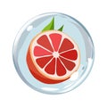 Healthy red grapefruit in air bubble. Isolated vector summer fruit for design Royalty Free Stock Photo