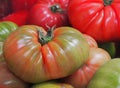 Healthy red and green tomatoes at spanish market. Variety of tomatoes `valenciano`. Spain.Valencia