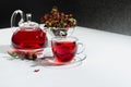 Healthy red herbal tea in transparent teapot, cup with hawthorn berries, rose hip, dry leaves in sunlight in contrast black. Royalty Free Stock Photo