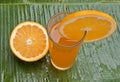 Healthy refreshing orange juice