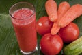 Healthy refreshing vegetable juice