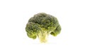 Healthy ripe broccoli branch