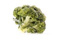 Healthy ripe broccoli branch