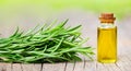 Healthy rosemary herb and oil in a bottle, alternative medicine banner