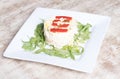 Healthy round plate of tuna and mayonnaise with red peppers and green leaves