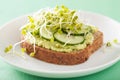 Healthy rye bread with avocado cucumber radish sprouts Royalty Free Stock Photo