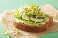 Healthy rye bread with avocado cucumber radish sprouts Royalty Free Stock Photo