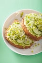 Healthy rye bread with avocado cucumber radish sprouts Royalty Free Stock Photo