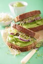 Healthy rye sandwich with avocado cucumber alfalfa sprouts