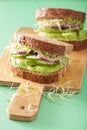Healthy rye sandwich with avocado cucumber alfalfa sprouts Royalty Free Stock Photo