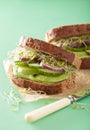 Healthy rye sandwich with avocado cucumber alfalfa sprouts Royalty Free Stock Photo