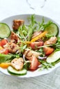 Healthy Salad with Chicken Breast, Cherry Tomatoes, Cucumber, Orange Pepper, Endive and Red Onion. Royalty Free Stock Photo