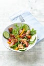 Healthy Salad with Chicken Breast, Cherry Tomatoes, Cucumber, Orange Pepper, Endive and Red Onion. Royalty Free Stock Photo