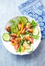 Healthy Salad with Chicken Breast, Cherry Tomatoes, Cucumber, Orange Pepper, Endive and Red Onion. Royalty Free Stock Photo