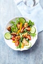 Healthy Salad with Chicken Breast, Cherry Tomatoes, Cucumber, Orange Pepper, Endive and Red Onion Royalty Free Stock Photo