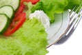 Healthy salad with fresh vegetables Royalty Free Stock Photo