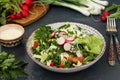 Healthy salad with fresh vegetables: radish, cucumbers, green onions, parsley, tomatoes, cabbage and spinach Royalty Free Stock Photo