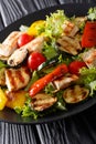 Healthy salad of grilled vegetables and chicken close-up on a pl Royalty Free Stock Photo