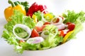 Healthy salad [made of varieties of vegetables]