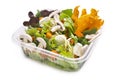 Healthy salad in plastic takeaway container. Mushrooms, assorted lettuce and sweet potato chips Royalty Free Stock Photo