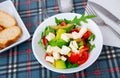 Fresh summer salad with vegetables and cheese Royalty Free Stock Photo