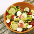 Healthy salad with vegetables Royalty Free Stock Photo