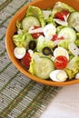 Healthy salad with vegetables Royalty Free Stock Photo