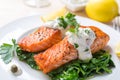 Healthy Salmon Steak Royalty Free Stock Photo