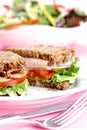 Healthy Sandwich