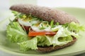 Healthy sandwich Royalty Free Stock Photo