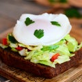 Quick egg poached sandwich. A poached egg on a rye bread slice with fresh cabbage, cucumber, pepper and parsley Royalty Free Stock Photo