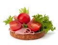 Healthy sandwich with vegetable and smoked ham Royalty Free Stock Photo