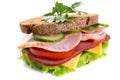 Healthy Sandwich on Whole Wheat Bread Royalty Free Stock Photo