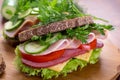 Healthy sandwich on whole wheat bread Royalty Free Stock Photo