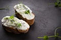 Healthy sandwiches cream cheese and micro green. Vegan sandwiches, vegan food, healthy eating. Template with space for text ,