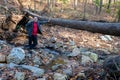 Healthy senior man by fallen tree on hiking trail