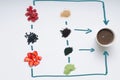 Healthy set of organic ingredients for acai smoothie
