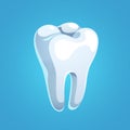 Healthy shining molar tooth with white enamel Royalty Free Stock Photo