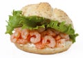 Healthy Shrimp Sandwich with Cream Cheese