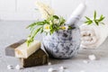 Healthy skin care. SPA concept. Natural handmade soap with dried herbs and flowers , sea salt. Natural Herbal Product Royalty Free Stock Photo