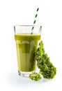 Healthy smoothie with fresh kale