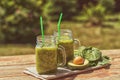 Healthy Smoothie With Spinach, apple, celery, kiwi, Brussels sprout, avocado, in glass jars, outdoor, over nature background,toned Royalty Free Stock Photo