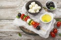 Healthy snack: mouth-watering kebabs on a picnic with tomatoes, mozzarella, salami, black olives, Basil, tortellini Royalty Free Stock Photo