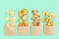 Healthy snack, set of dried fruits. Dehydrated fruit chips of apple, banana, persimmon, pear in paper package Royalty Free Stock Photo