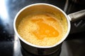 Healthy soup of three ingredients, carrots, water and salt in a steel pot on the stove, invented by professor Moro against