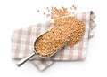 Healthy spelt grains