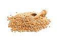 Healthy spelt grains