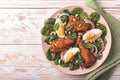 Spinach salad with egg, chiken, onion and pine nuts Royalty Free Stock Photo