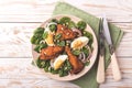 Spinach salad with egg, chiken, onion and pine nuts Royalty Free Stock Photo