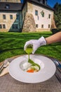 Healthy spinach soup served with egg on white plate, spring soup full of vitamins, product photography for restaurant